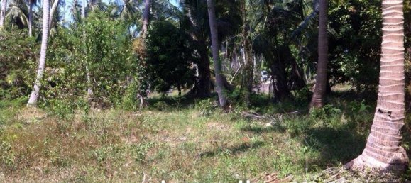  Commercial property in Ko Samui, Thailand No. 17486 6