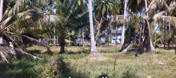  Commercial property in Ko Samui, Thailand No. 17486 8