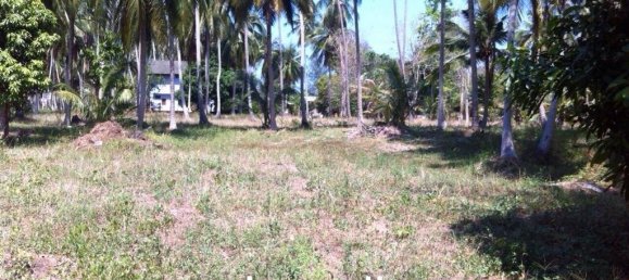  Commercial property in Ko Samui, Thailand No. 17486 9
