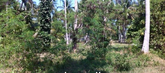  Commercial property in Ko Samui, Thailand No. 17486 10