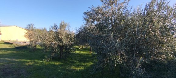 Hotel T8 em Ischia di Castro, Italy N.º 318983 3