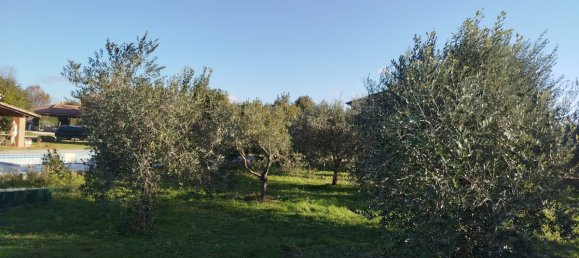 Hotel T8 em Ischia di Castro, Italy N.º 318983 6