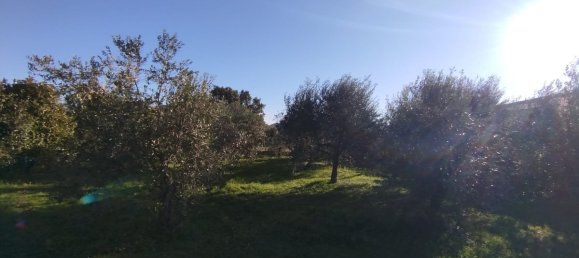 Hotel T8 em Ischia di Castro, Italy N.º 318983 2