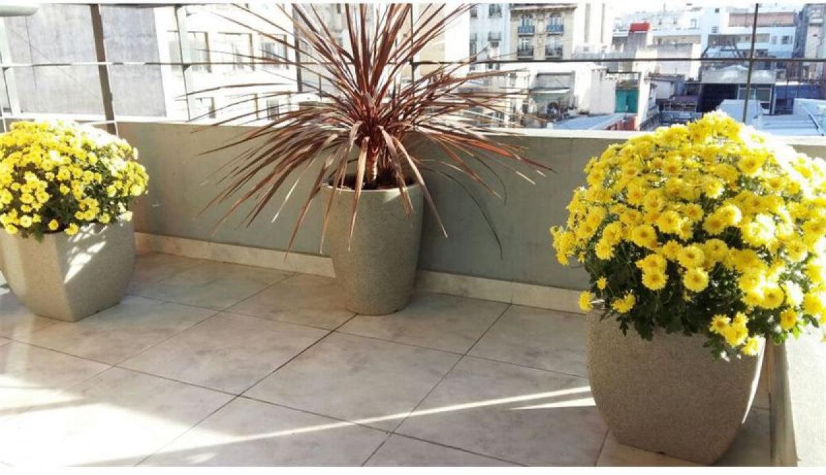 Studio in Buenos Aires, Argentina No. 97494