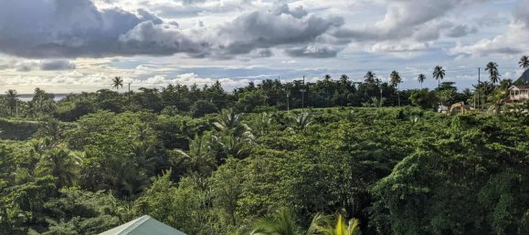 12 bedrooms Land in Portsmouth, Dominica No. 26 8