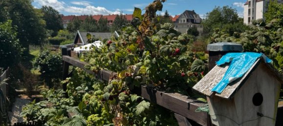 Land in Erfurt, Germany No. 229457 15