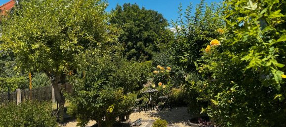 Land in Erfurt, Germany No. 229457 2