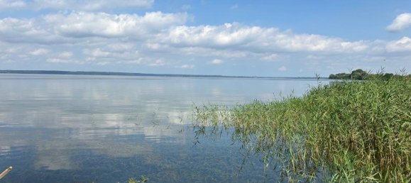 6 Schlafzimmer Haus in Schwerin, Germany, Nr. 220546 10