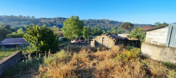  Land in Viseu, Portugal No. 46963 12