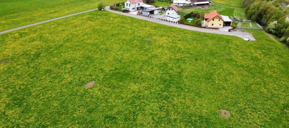  Land in Murtal, Austria No. 137092 5