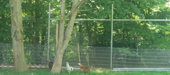 Casa de 2 divisões em Rubiana, Italy N.º 261447 26