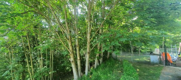 Casa de 2 divisões em Rubiana, Italy N.º 261447 35