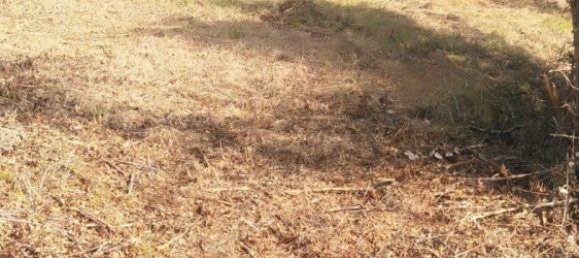 660m² Land in Huesca, Spain No. 68124 23