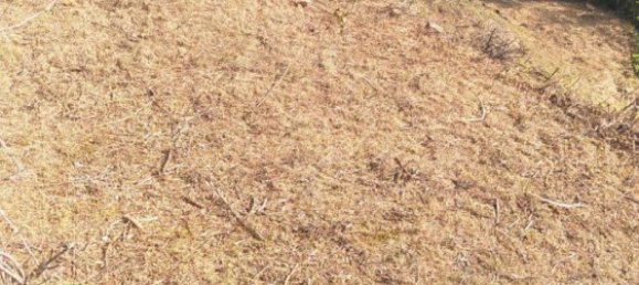 660m² Land in Huesca, Spain No. 68124 20