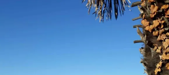 5-Zimmer Haus in Dumenza, Italy, Nr. 53878 23