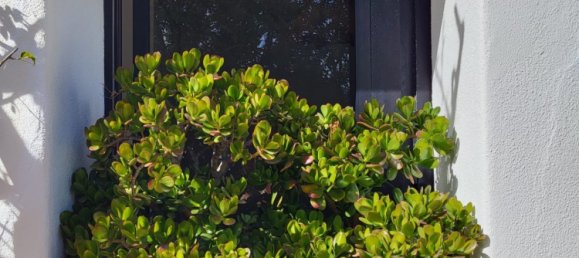 6 bedrooms Villa in Faro, Portugal No. 132369 20