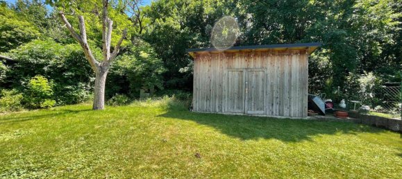 4 rooms House in Markgrafneusiedl, Austria No. 235531 28