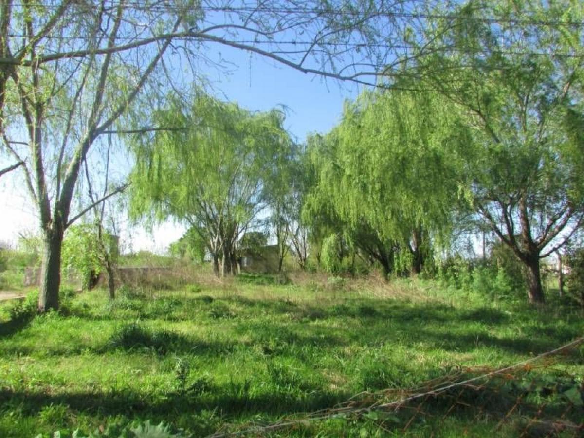  Land in Roque Perez, Argentina No. 50873