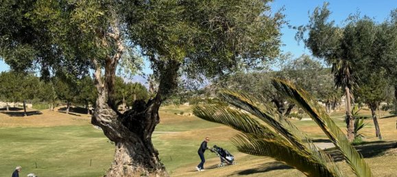 3 bedrooms Villa in Los Montesinos, Spain No. 11235 10