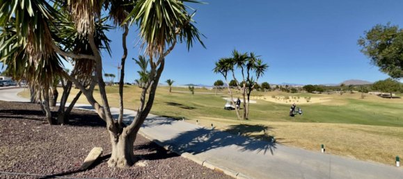 3 bedrooms Villa in Los Montesinos, Spain No. 11235 9