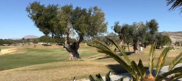 3 bedrooms Villa in Los Montesinos, Spain No. 11235 11