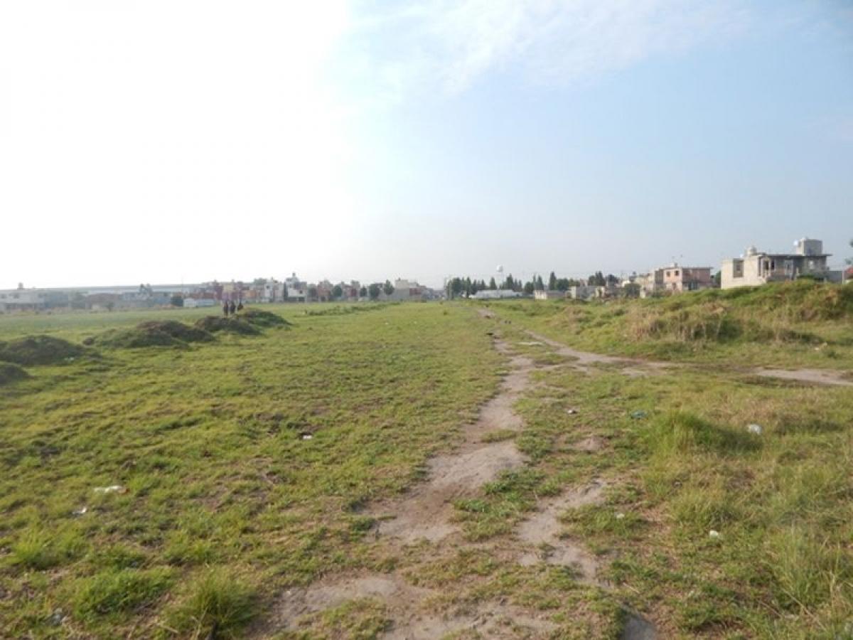  Land in San Buenaventura, Mexico No. 202713