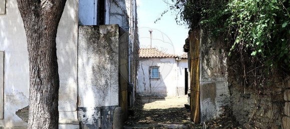 3 bedrooms House in Sao Joao da Pesqueira, Portugal No. 189031 6