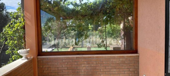 3 bedrooms Apartment in Grosseto, Italy No. 270956 6