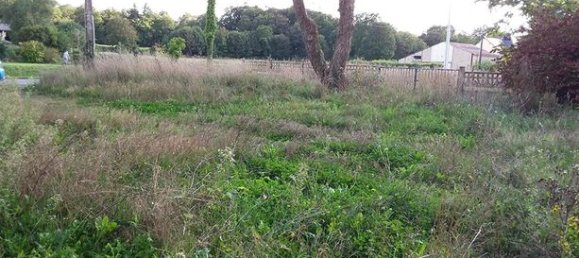 Casa de 2 divisões em Bazouges-la-Perouse, France N.º 313296 3