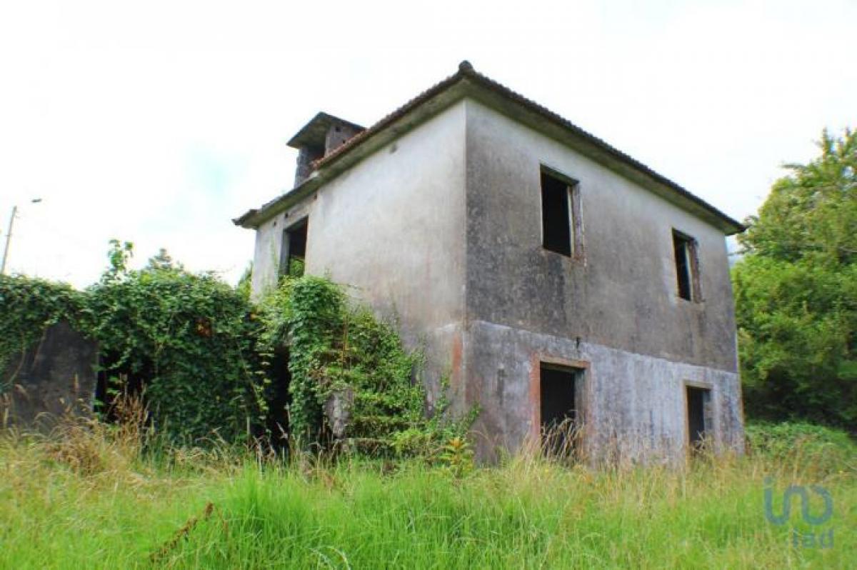  Land in Santana, Portugal No. 2217