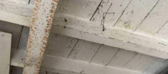  عقار تجاري في Ferrara, Italy 40متر مربع رقم 133922 4