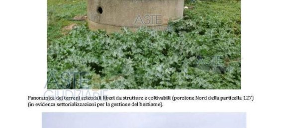 Дом с 3 спальнями в Сардиния, Италия № 380268 11