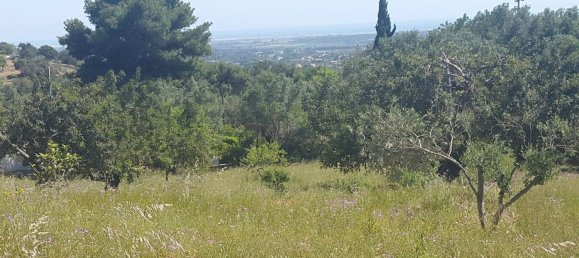 Земельный участок в Лоле, Португалия № 189983 4