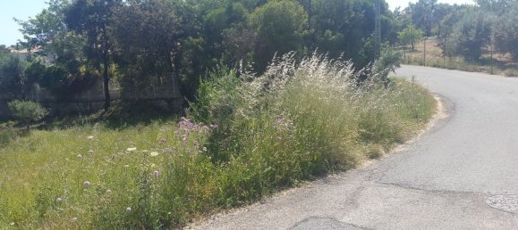 Земельный участок в Лоле, Португалия № 189983 3