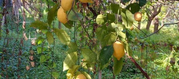 3 غرف نوم منزل ذو طابقين في Massa Lubrense, Italy رقم 341290 6