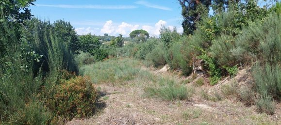 1 bedroom House in Sao Martinho da Cortica, Portugal No. 34226 15