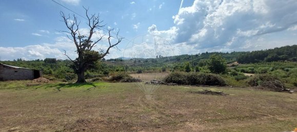 1 bedroom House in Sao Martinho da Cortica, Portugal No. 34226 16