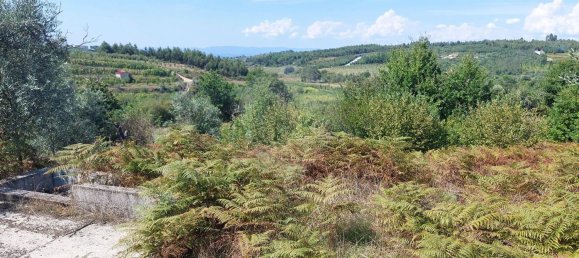 1 bedroom House in Sao Martinho da Cortica, Portugal No. 34226 18