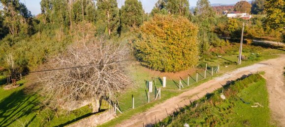 1 bedroom House in Sao Martinho da Cortica, Portugal No. 34226 22