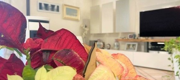 Дом с 5 комнатами в Кальчинато, Италия № 131567 18