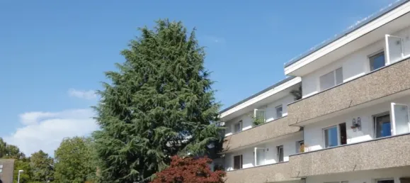 Дуплекс с 3 спальнями в Меттман, Германия № 295502 3