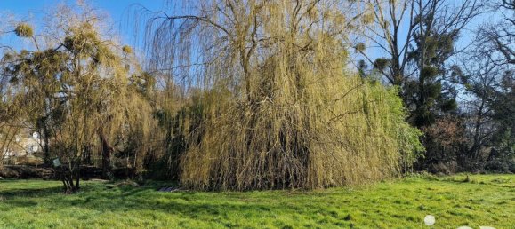 4 Schlafzimmer Haus in Baguer-Morvan, France, Nr. 202021 15