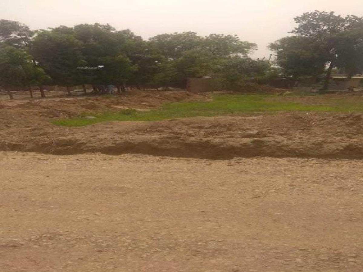  Land in Gurgaon, India No. 35617