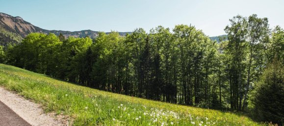  قطعة أرض في Krispl, Austria رقم 165253 4