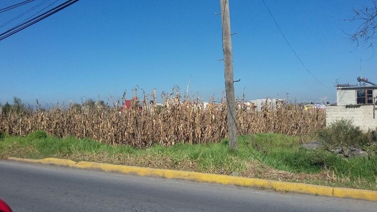  Land in Lerma, Mexico No. 207058