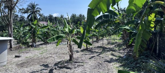 Terrain à Ko Samui, Thailand No. 26788 2