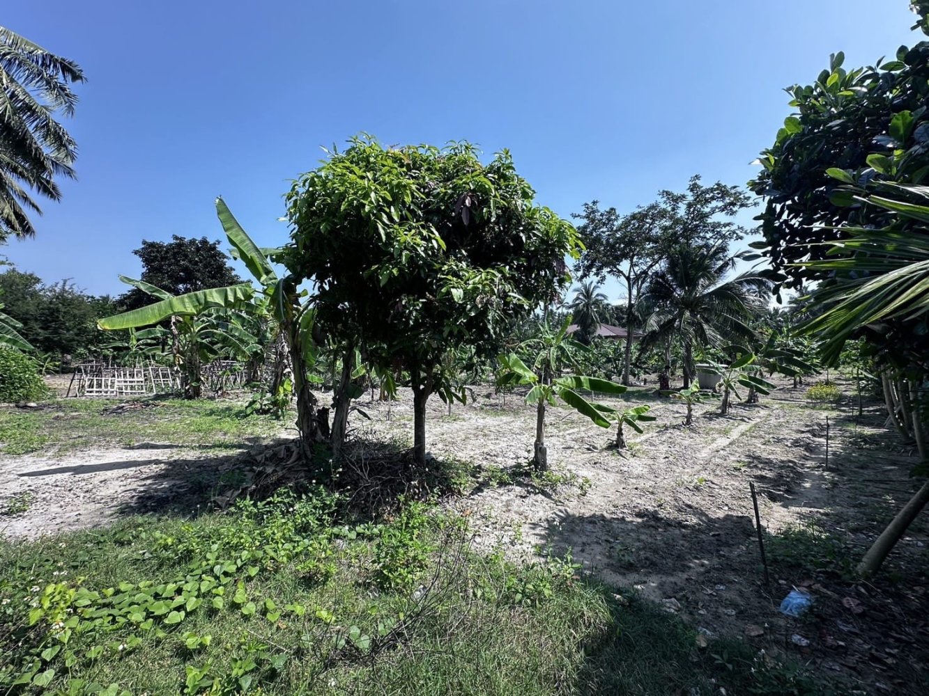 Terrain à Ko Samui, Thailand No. 26788