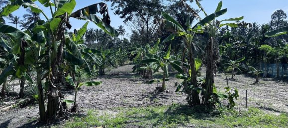 Terrain à Ko Samui, Thailand No. 26788 4
