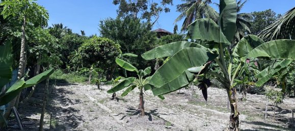 Terrain à Ko Samui, Thailand No. 26788 3