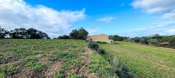  Land in Mallorca, Spain No. 156247 6